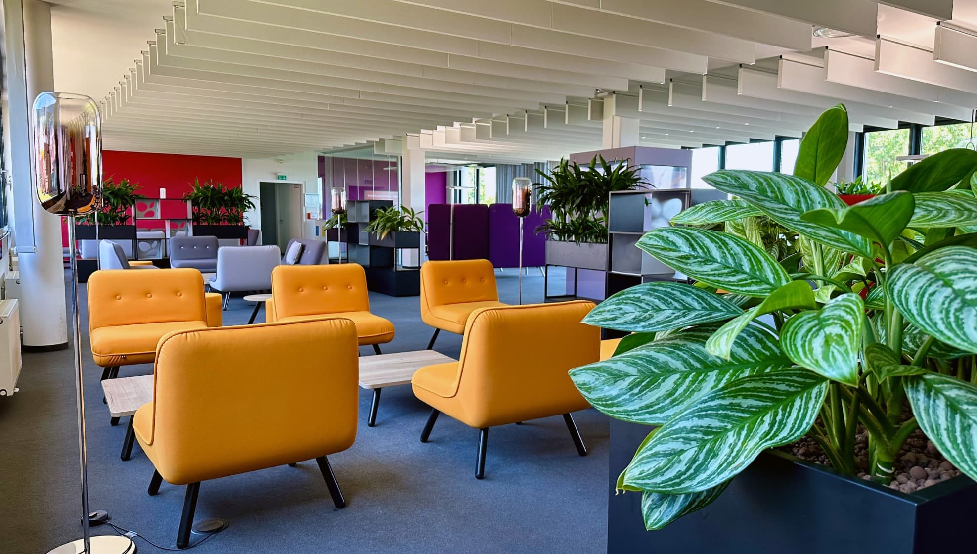 Colorful office lounge area with yellow armchairs, coffee tables, and green plants, set against bright walls and large windows.